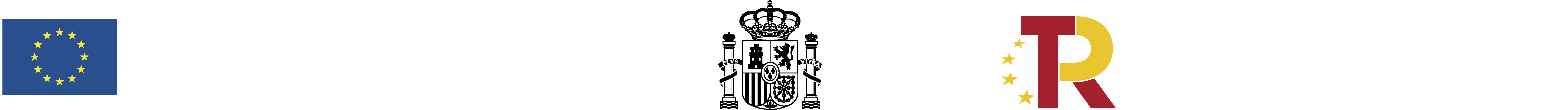 Kit digital subvencions digitalitza la teva empresa vic osona manlleu torello